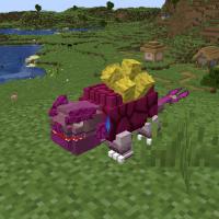 【商城福利】精品模型小红薯模型包3